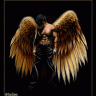 ArChAnGel